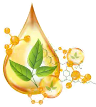 Насладете се на чистия коноп! Капка олио от коноп в оранжев цвят със зелено листо от коноп и до нея още две капки с надписи коноп на тях и химическите им формули.