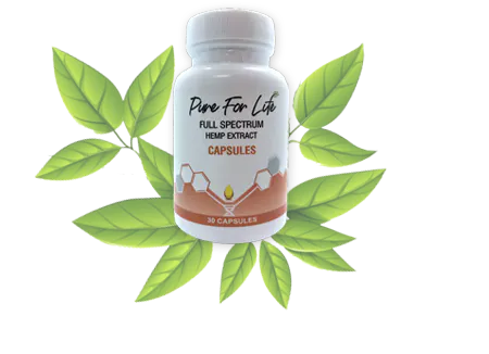 бутилчица хапчета софтгел конопен екстракт с пълноспектърен терпенов профил и 750 мг коноп във всяка от тях и листенца коноп около нея