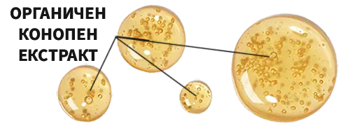 Най-мощната конопена формула! капки конопено олио, с многокомпонентен пълноспектърен терпенов състав