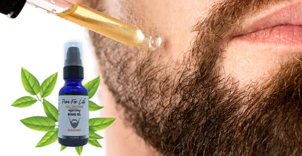 Направи брадата си лъскава и сияйна! брадясал мъж слага конопено олио за брада върху косматото си лице